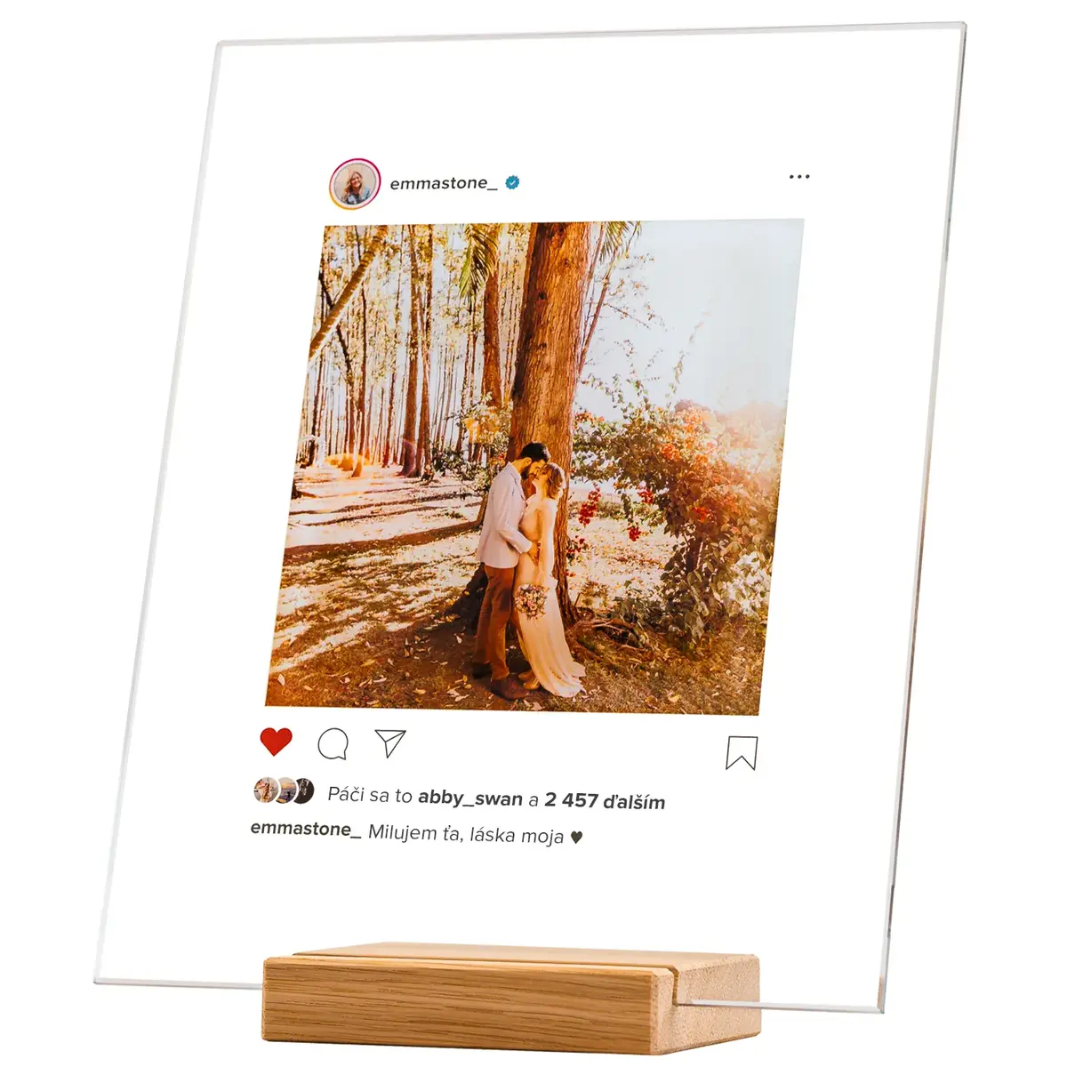 Šablóna sklenenej plakety - editor Socials